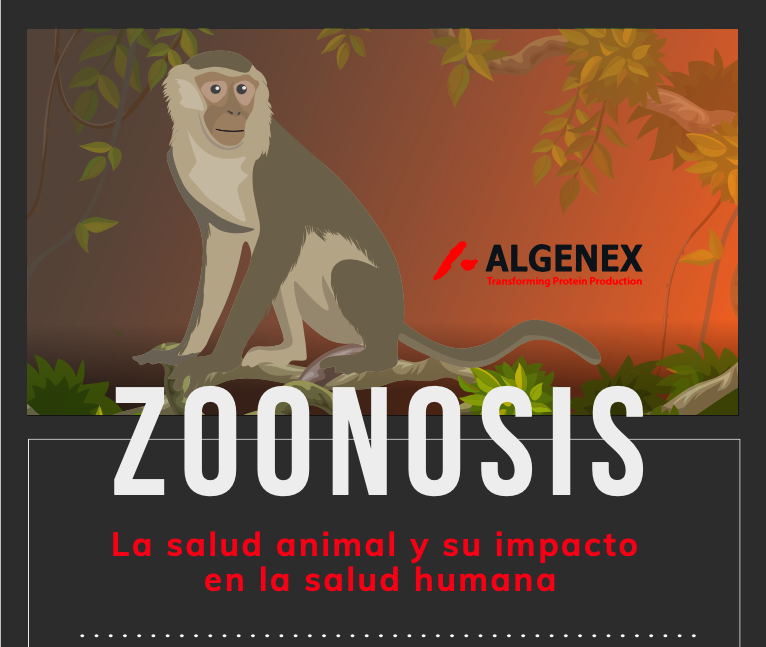 Infografía sobre Zoonosis: la salud animal y su impacto en la salud humana